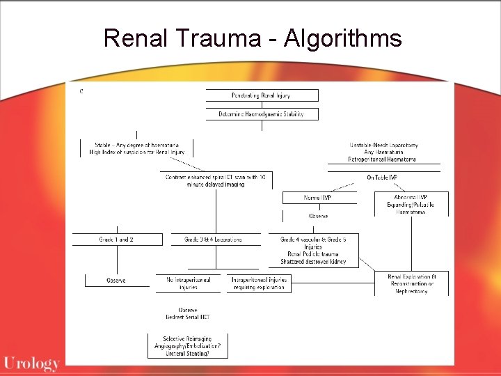 Renal Trauma - Algorithms 