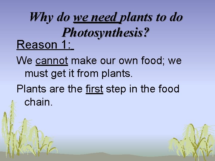 Why do we need plants to do Photosynthesis? Reason 1: We cannot make our