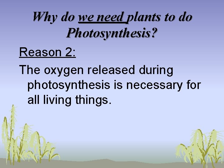 Why do we need plants to do Photosynthesis? Reason 2: The oxygen released during