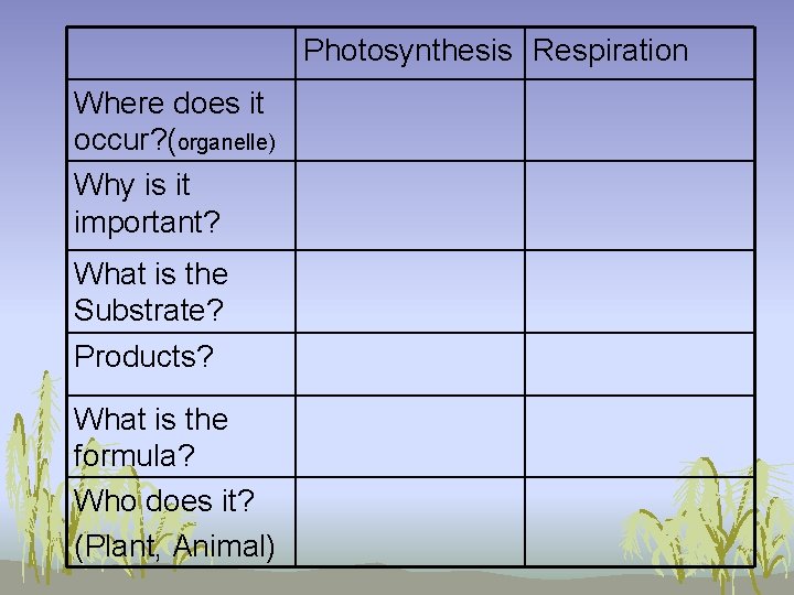 Photosynthesis Respiration Where does it occur? (organelle) Why is it important? What is the