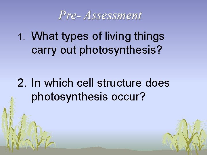 Pre- Assessment 1. What types of living things carry out photosynthesis? 2. In which