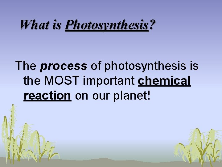 What is Photosynthesis? The process of photosynthesis is the MOST important chemical reaction on