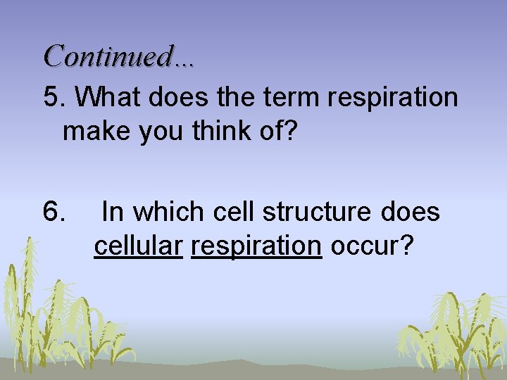 Continued… 5. What does the term respiration make you think of? 6. In which