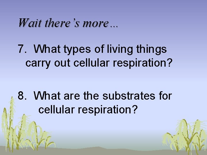 Wait there’s more… 7. What types of living things carry out cellular respiration? 8.