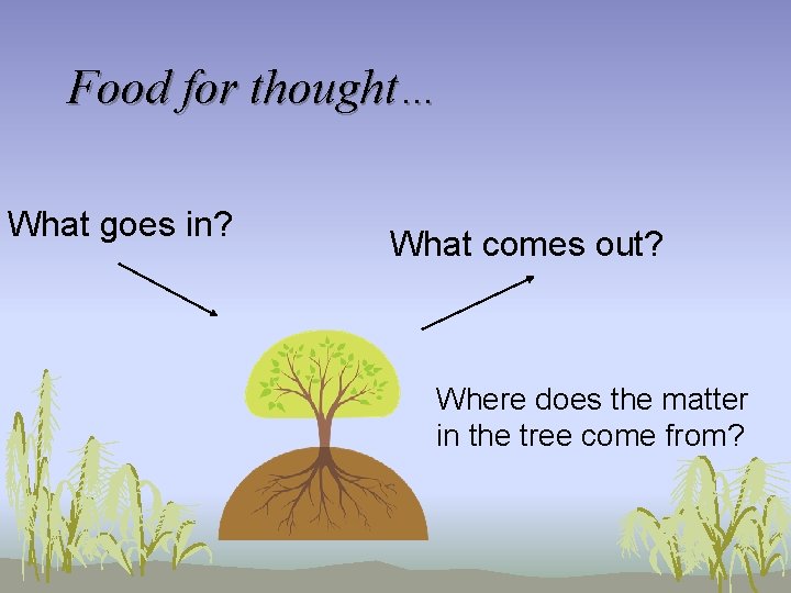 Food for thought… What goes in? What comes out? Where does the matter in
