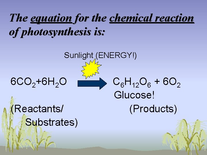 The equation for the chemical reaction of photosynthesis is: Sunlight (ENERGY!) 6 CO 2+6