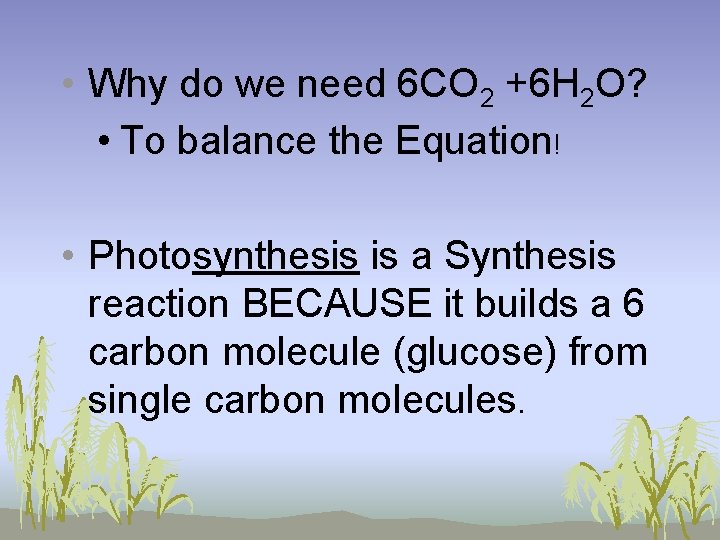  • Why do we need 6 CO 2 +6 H 2 O? •