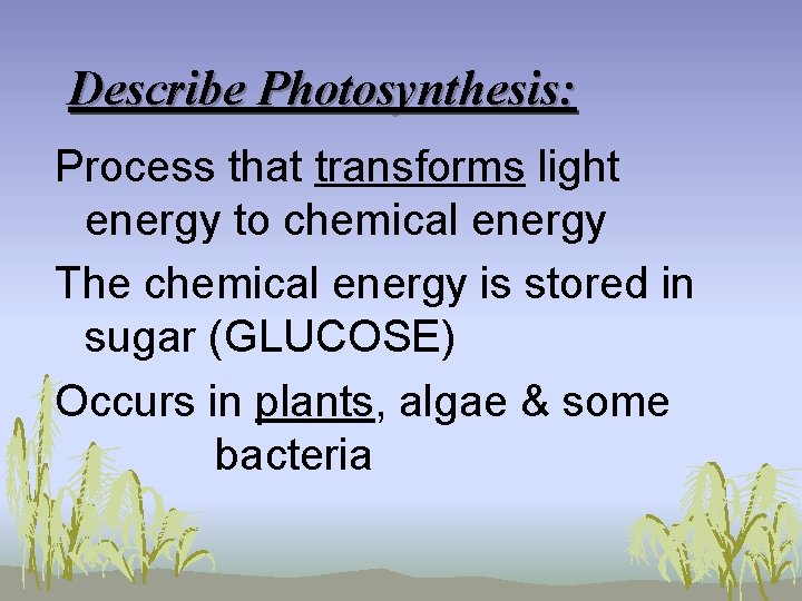 Describe Photosynthesis: Process that transforms light energy to chemical energy The chemical energy is