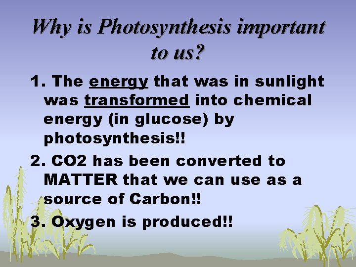 Why is Photosynthesis important to us? 1. The energy that was in sunlight was
