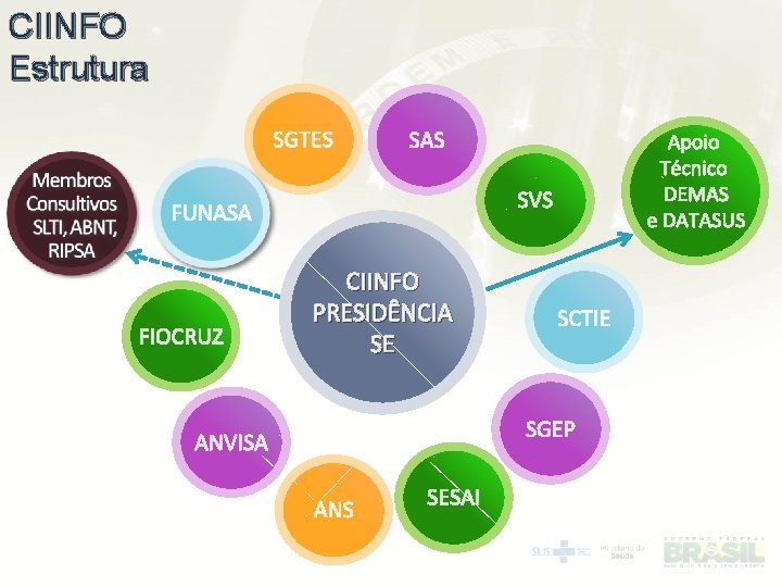 CIINFO Estrutura SGTES SAS SVS FUNASA FIOCRUZ Apoio Técnico DEMAS e DATASUS CIINFO PRESIDÊNCIA