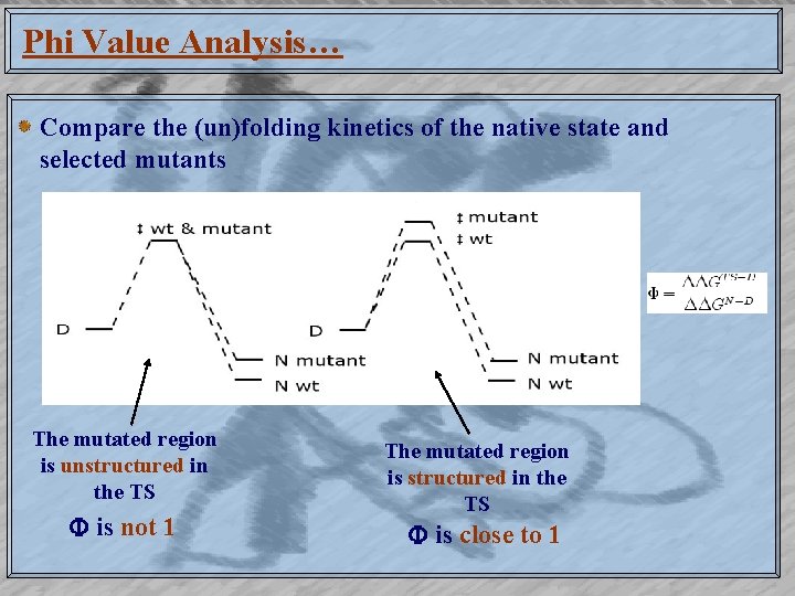 Phi Value Analysis… Compare the (un)folding kinetics of the native state and selected mutants