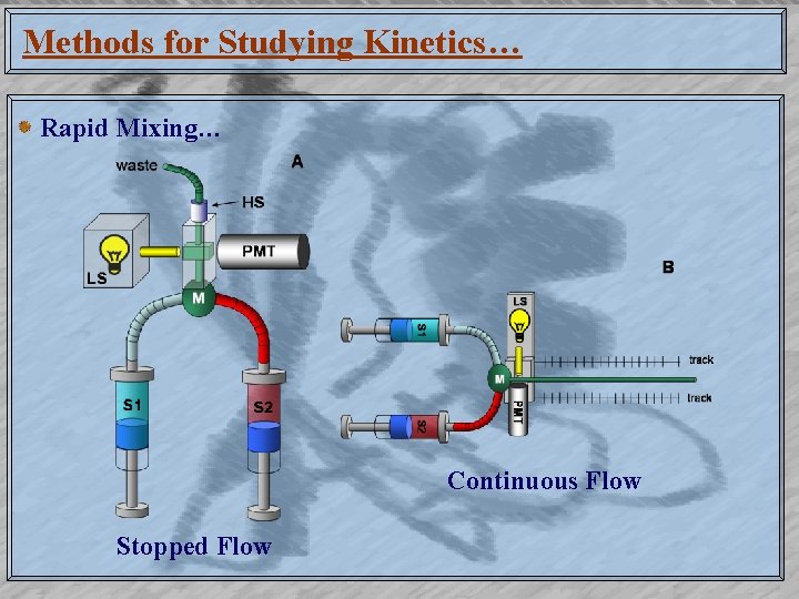 Methods for Studying Kinetics… Rapid Mixing… Continuous Flow Stopped Flow 