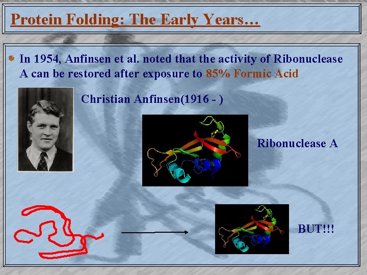 Protein Folding: The Early Years… In 1954, Anfinsen et al. noted that the activity