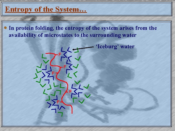 Entropy of the System… In protein folding, the entropy of the system arises from