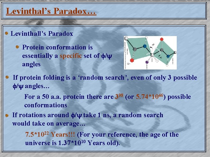 Levinthal’s Paradox… Levinthall’s Paradox Protein conformation is essentially a specific set of / angles