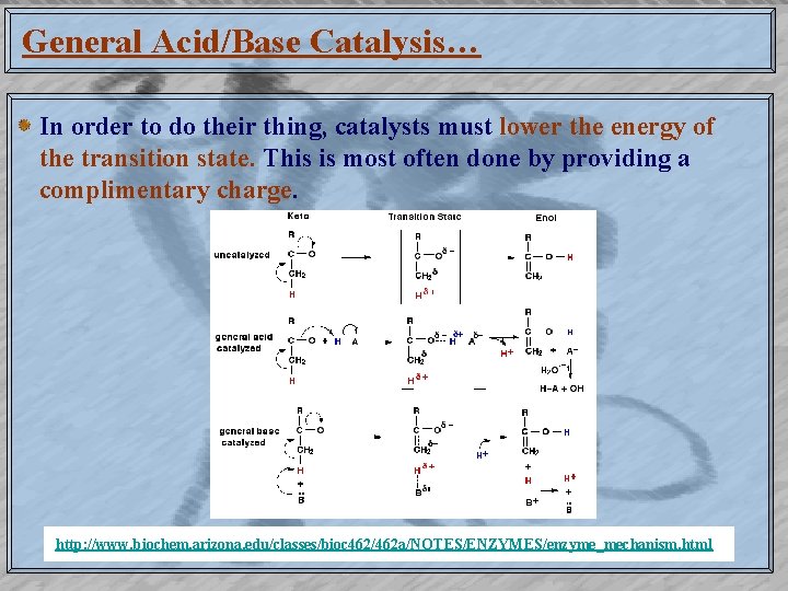 General Acid/Base Catalysis… In order to do their thing, catalysts must lower the energy