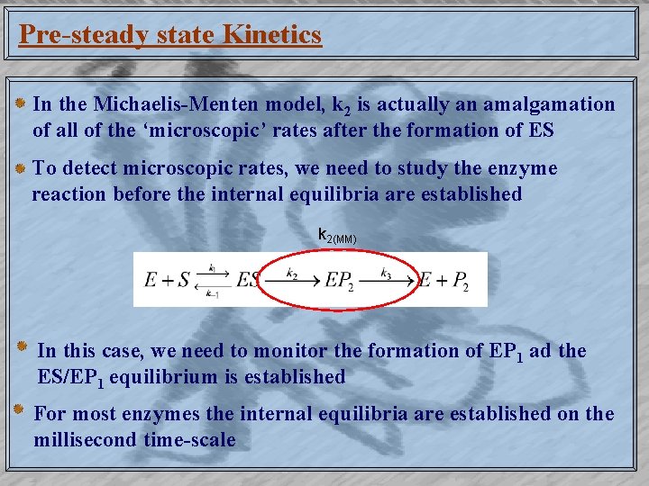 Pre-steady state Kinetics In the Michaelis-Menten model, k 2 is actually an amalgamation of