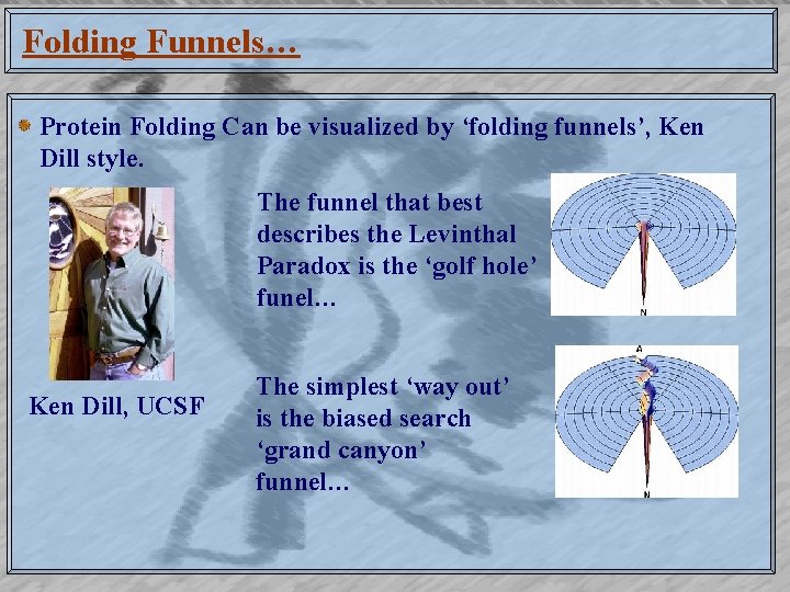 Folding Funnels… Protein Folding Can be visualized by ‘folding funnels’, Ken Dill style. The