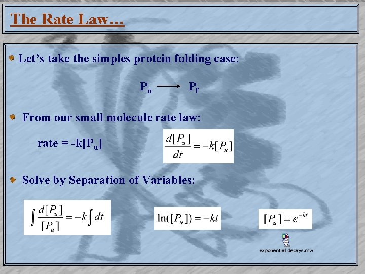 The Rate Law… Let’s take the simples protein folding case: Pu Pf From our