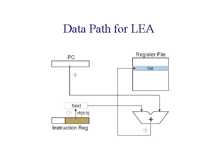 Data Path for LEA 