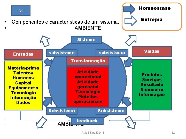 Homeostase 39 • Componentes e características de um sistema. • AMBIENTE Entropia Sistema Entradas