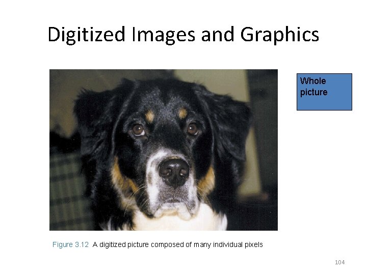 Digitized Images and Graphics Whole picture Figure 3. 12 A digitized picture composed of