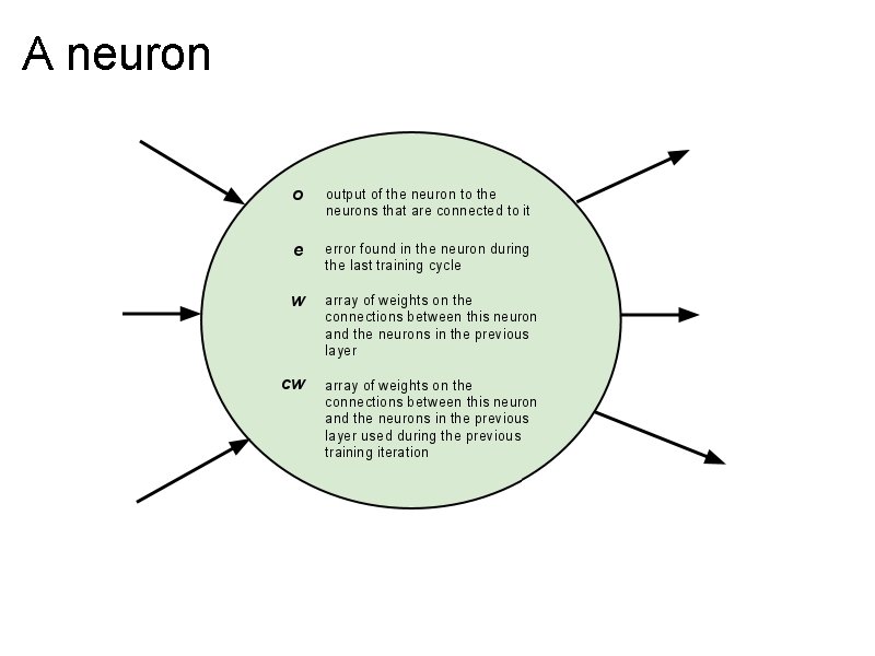 A neuron 