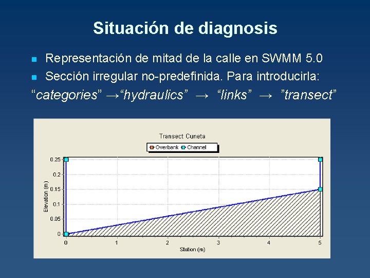 Situación de diagnosis n n Representación de mitad de la calle en SWMM 5.