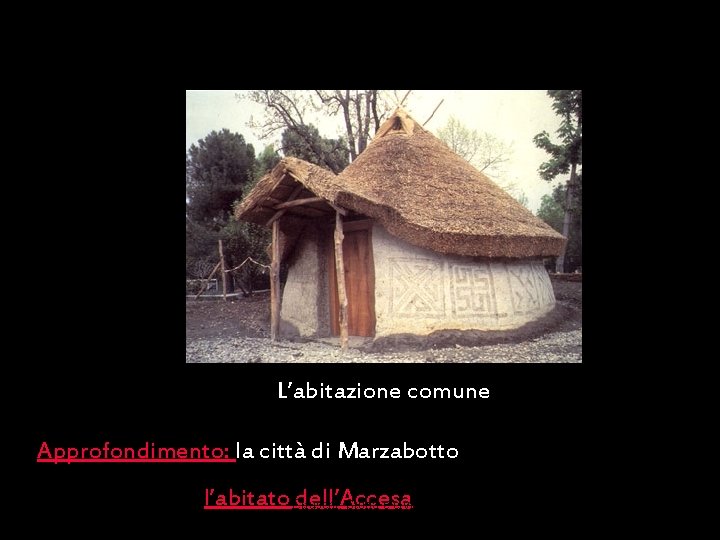 L’abitazione comune Approfondimento: la città di Marzabotto Maria Giulia Poggi l’abitato Etruschi. dell’Accesa Storia