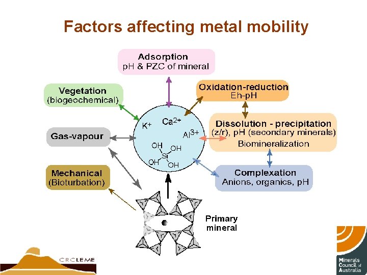 Factors affecting metal mobility 