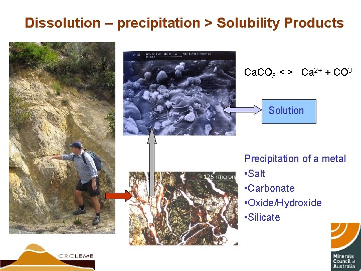 Dissolution – precipitation > Solubility Products Ca. CO 3 < > Ca 2+ +
