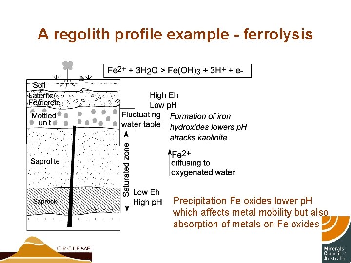 A regolith profile example - ferrolysis Precipitation Fe oxides lower p. H which affects