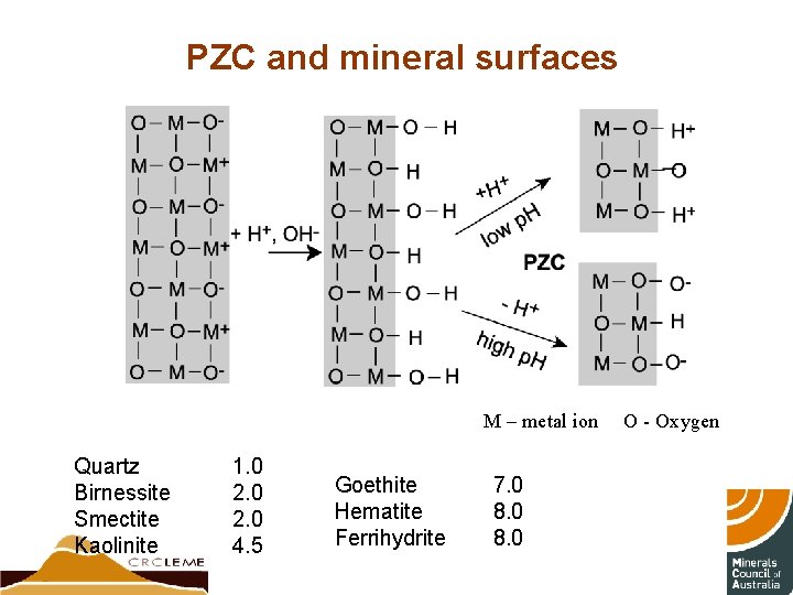 PZC and mineral surfaces M – metal ion Quartz Birnessite Smectite Kaolinite 1. 0
