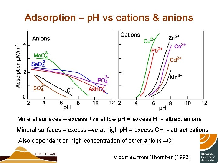 Adsorption – p. H vs cations & anions Mineral surfaces – excess +ve at