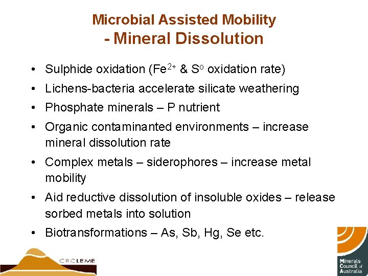 Microbial Assisted Mobility - Mineral Dissolution • Sulphide oxidation (Fe 2+ & So oxidation