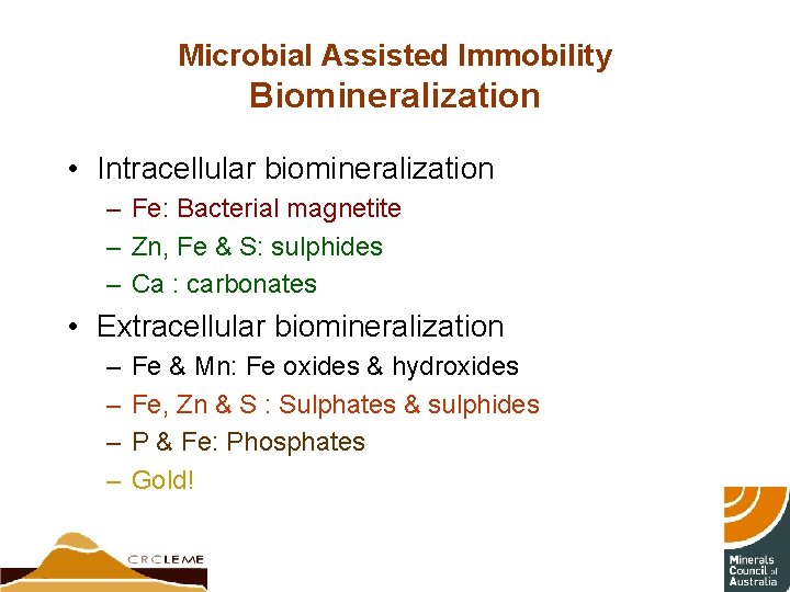 Microbial Assisted Immobility Biomineralization • Intracellular biomineralization – Fe: Bacterial magnetite – Zn, Fe