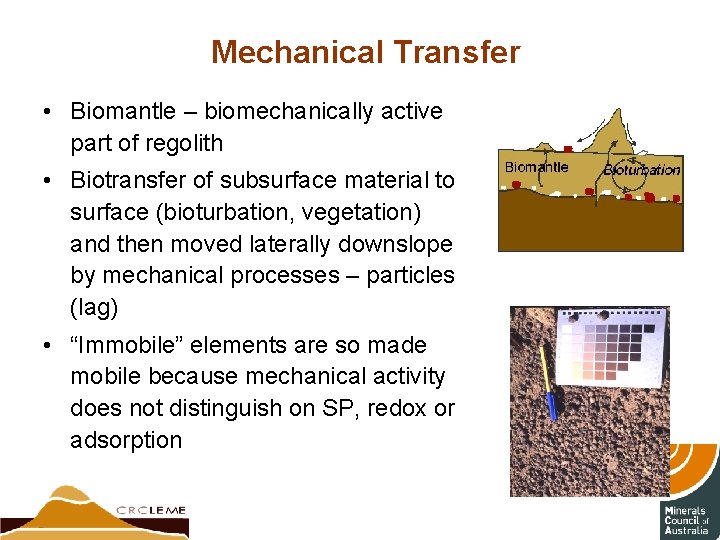 Mechanical Transfer • Biomantle – biomechanically active part of regolith • Biotransfer of subsurface