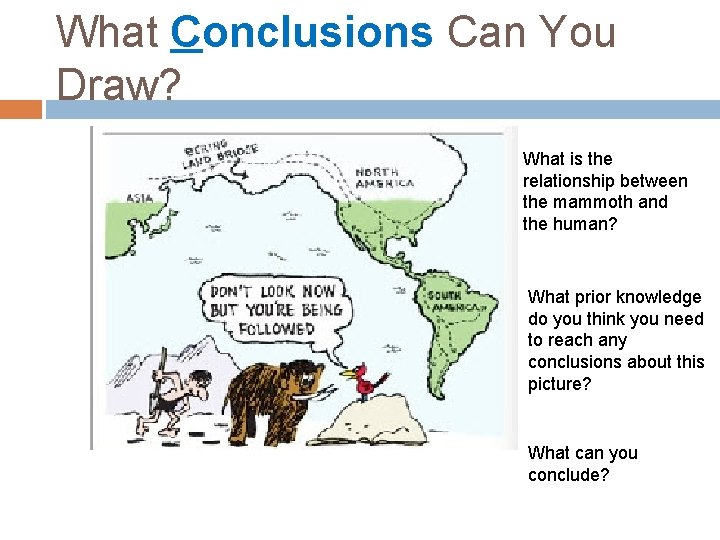 What Conclusions Can You Draw? What is the relationship between the mammoth and the