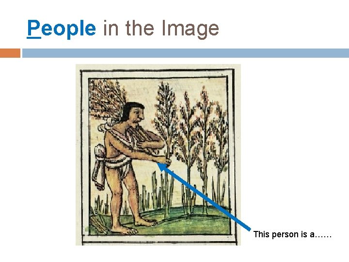 People in the Image This person is a…… 
