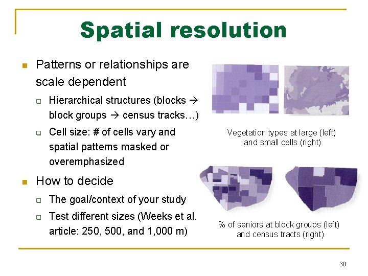 Spatial resolution n Patterns or relationships are scale dependent q q n Hierarchical structures Spatial resolution n Patterns or relationships are scale dependent q q n Hierarchical structures