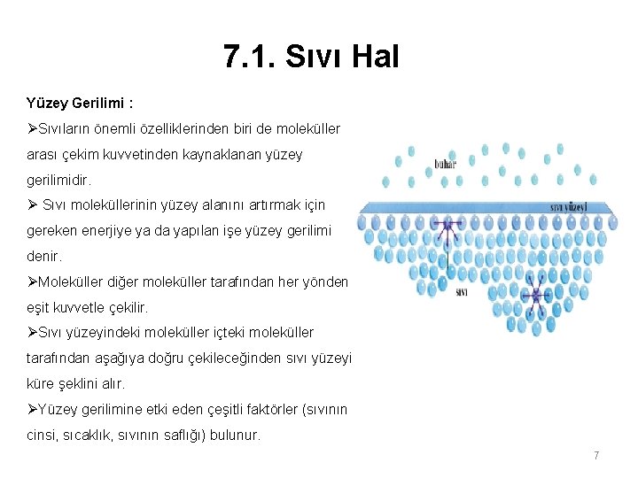 7. 1. Sıvı Hal Yüzey Gerilimi : ØSıvıların önemli özelliklerinden biri de moleküller arası 7. 1. Sıvı Hal Yüzey Gerilimi : ØSıvıların önemli özelliklerinden biri de moleküller arası