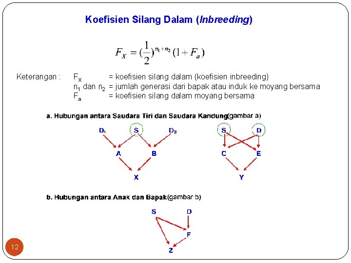 Koefisien Silang Dalam (Inbreeding) Keterangan : 12 FX = koefisien silang dalam (koefisien inbreeding)