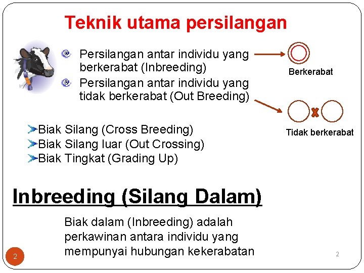 Teknik utama persilangan Persilangan antar individu yang berkerabat (Inbreeding) Persilangan antar individu yang tidak