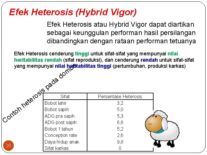 Efek Heterosis (Hybrid Vigor) Efek Heterosis atau Hybrid Vigor dapat diartikan sebagai keunggulan performan