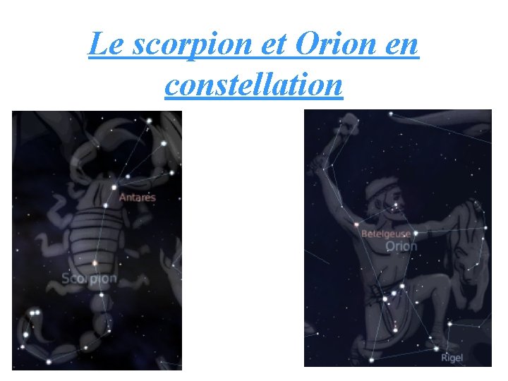 Le scorpion et Orion en constellation 