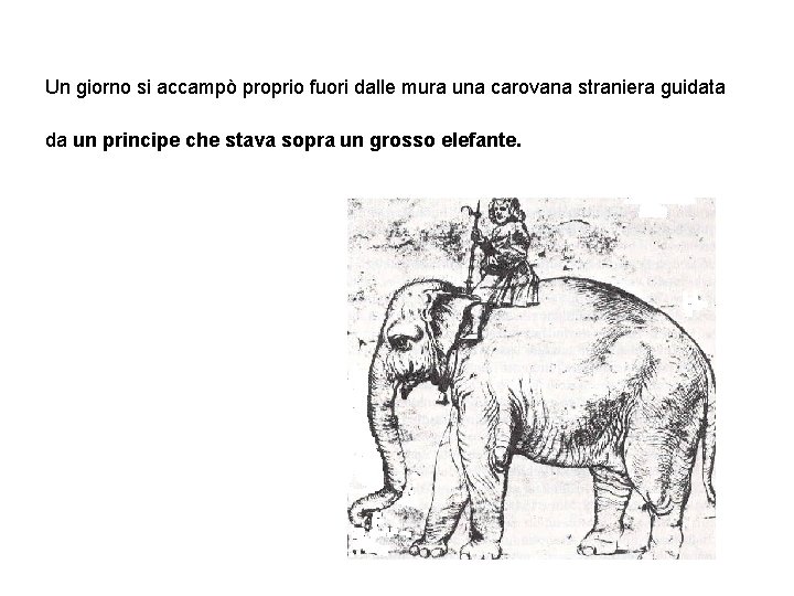 Un giorno si accampò proprio fuori dalle mura una carovana straniera guidata da un