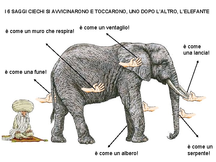 I 6 SAGGI CIECHI SI AVVICINARONO E TOCCARONO, UNO DOPO L’ALTRO, L’ELEFANTE è come