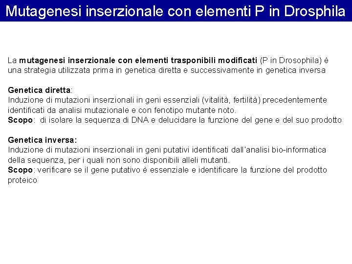 Mutagenesi inserzionale con elementi P in Drosphila La mutagenesi inserzionale con elementi trasponibili modificati Mutagenesi inserzionale con elementi P in Drosphila La mutagenesi inserzionale con elementi trasponibili modificati