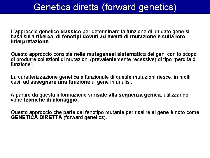 Genetica diretta (forward genetics) L’approccio genetico classico per determinare la funzione di un dato Genetica diretta (forward genetics) L’approccio genetico classico per determinare la funzione di un dato