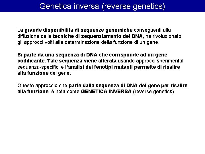 Genetica inversa (reverse genetics) La grande disponibilità di sequenze genomiche conseguenti alla diffusione delle Genetica inversa (reverse genetics) La grande disponibilità di sequenze genomiche conseguenti alla diffusione delle